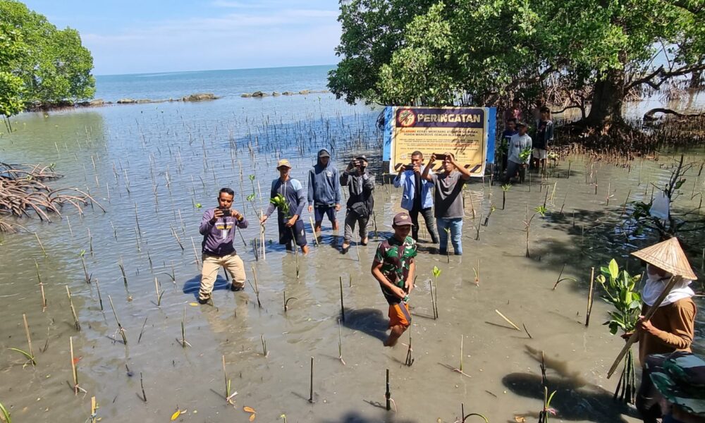 Lestarikan Lingkungan Dengan Tanam Ribu Batang Mangrove Ujung Jari