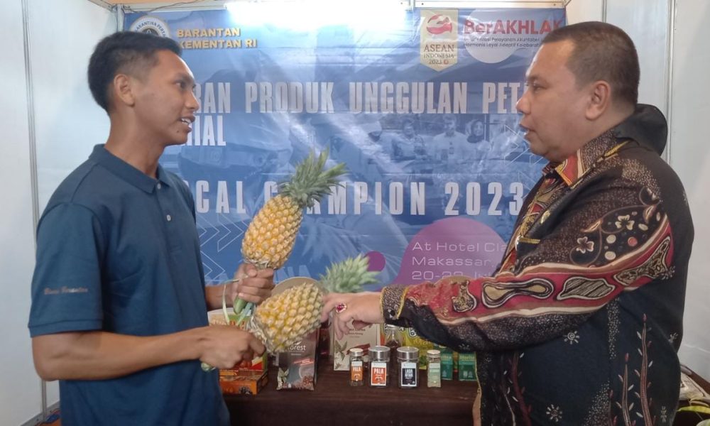 Barantan Siap Dampingi Petani Nanas Asal Sulsel Masuk Pasar Ekspor