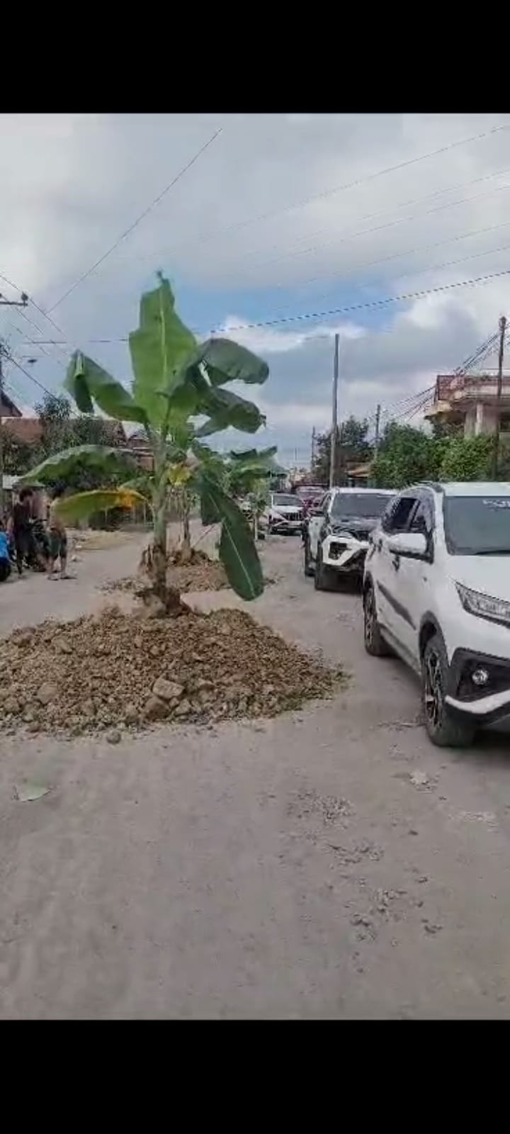 Mana Tanggungjawab Pemprov Jalan Trans Sulawesi Di Sidrap Ditanami