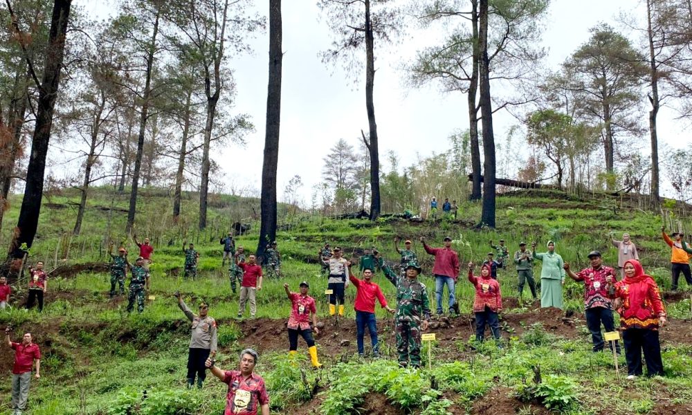 TNI Dan Masyarakat Tanam Pohon Di Hutan Pinus Malino Ujung Jari