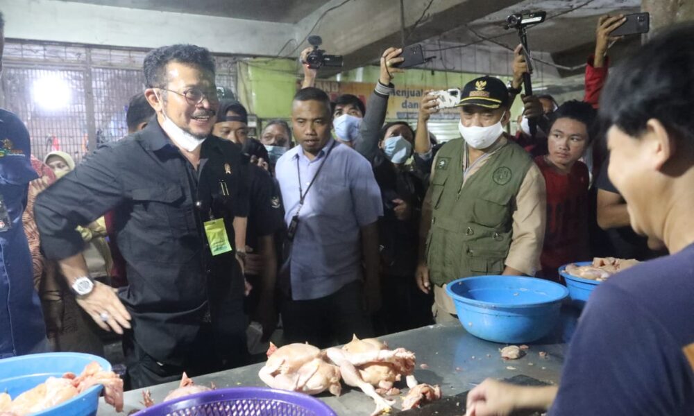 Sidak Di Pasar Terong Dan Pabaeng Baeng Mentan Syl Pastikan Ketersediaan Bahan Pokok Aman