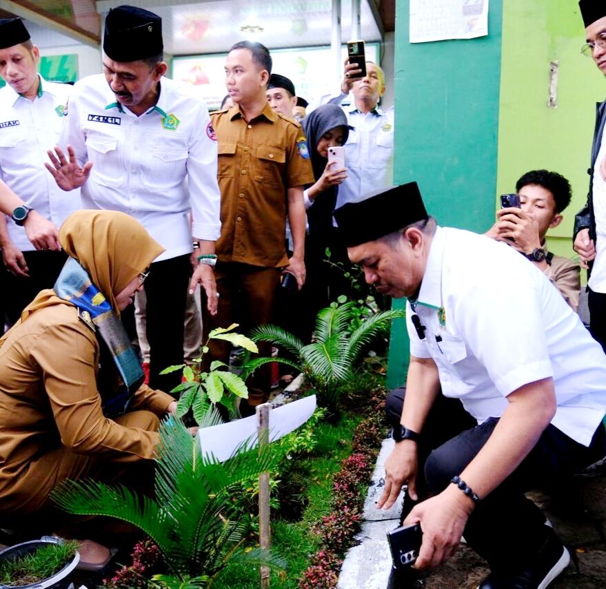 Kemenag Galakkan Penanaman Matoa, Bupati Gowa Ikut Tanam Satu Pohon ...